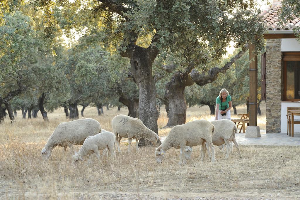 Finca Las Abubillas Jaraicejo Exteriér fotografie